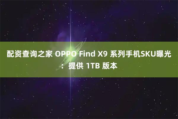 配资查询之家 OPPO Find X9 系列手机SKU曝光：提供 1TB 版本