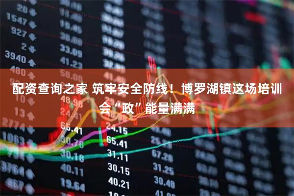 配资查询之家 筑牢安全防线！博罗湖镇这场培训会“政”能量满满