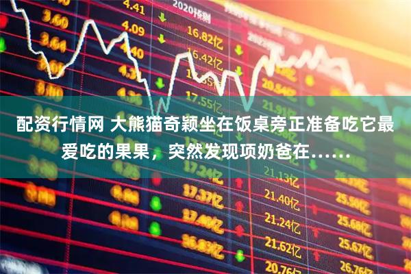 配资行情网 大熊猫奇颖坐在饭桌旁正准备吃它最爱吃的果果，突然发现项奶爸在……