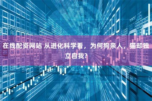 在线配资网站 从进化科学看，为何狗亲人，猫却独立自我?