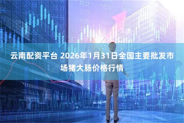 云南配资平台 2026年1月31日全国主要批发市场猪大肠价格行情