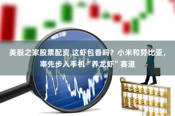 美股之家股票配资 这虾包香吗？小米和努比亚，率先步入手机“养龙虾”赛道