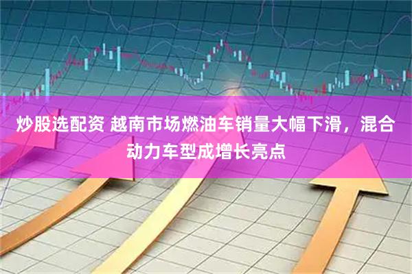 炒股选配资 越南市场燃油车销量大幅下滑，混合动力车型成增长亮点