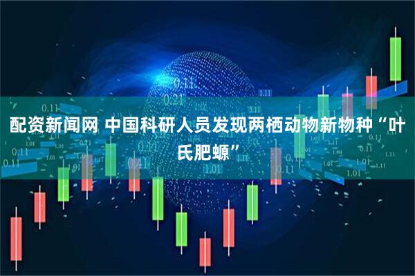 配资新闻网 中国科研人员发现两栖动物新物种“叶氏肥螈”